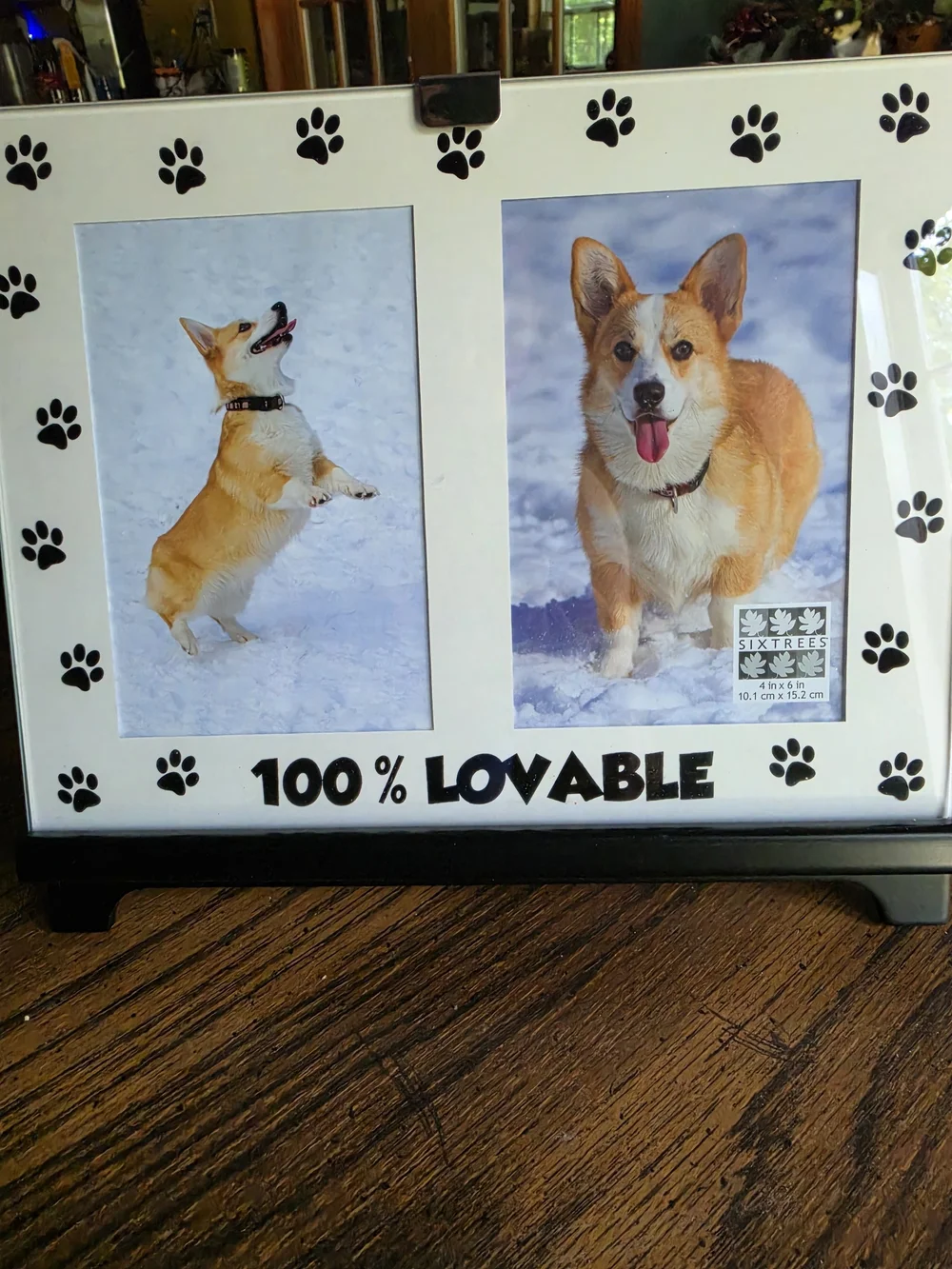 100% Lovable Paw Print Double Photo Frame - White/Black